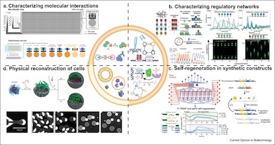 Publication Thumbnail